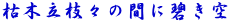 枯木立枝々の間に碧き空