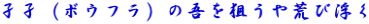 孑孑（ボウフラ）の吾を狙うや荒び浮く