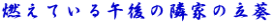 燃えている午後の隣家の立葵