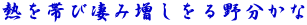 熱を帯び凄み増しをる野分かな