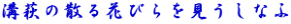 溝萩の散る花びらを見うしなふ