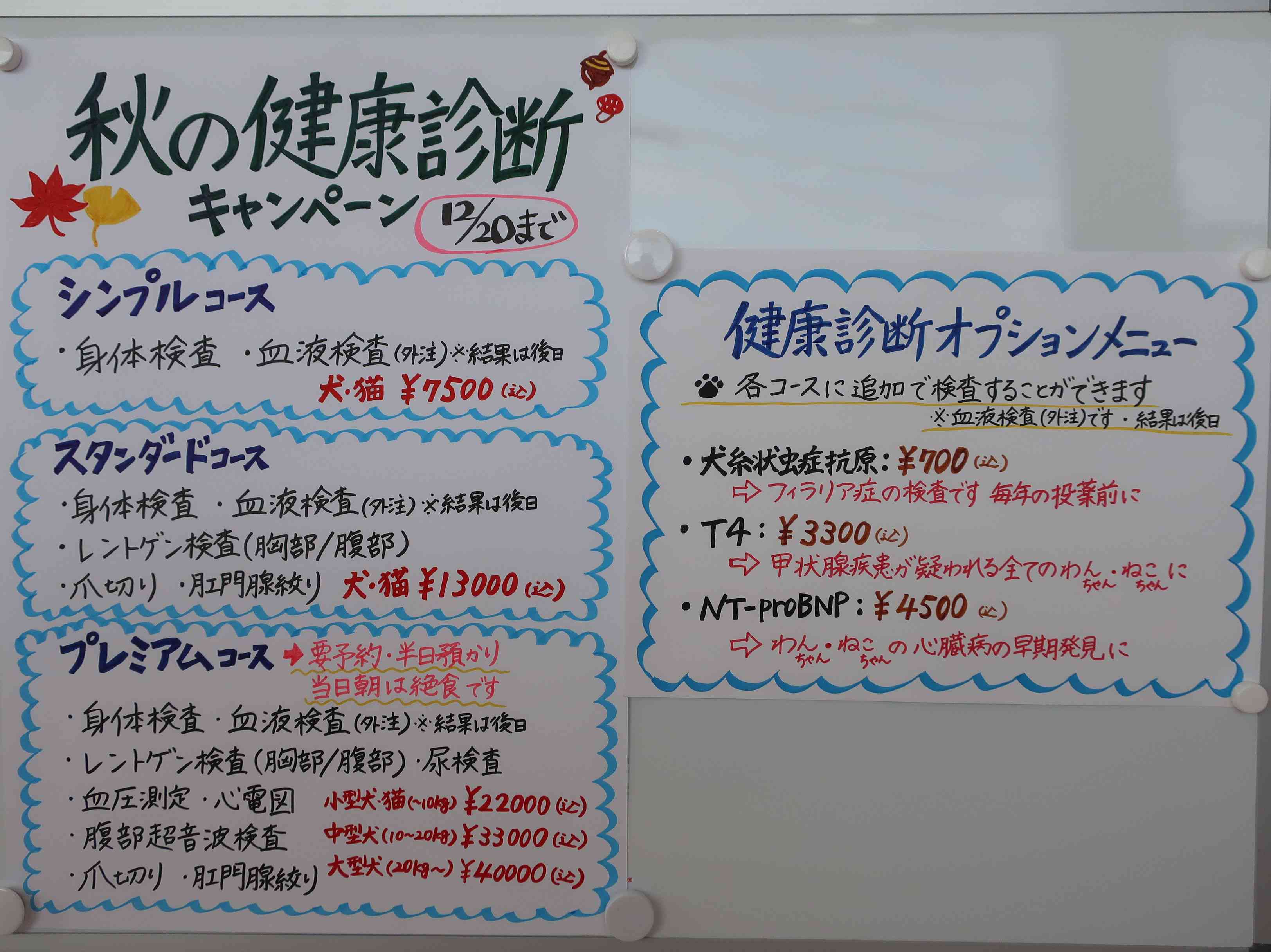 kawasumi animal hospital