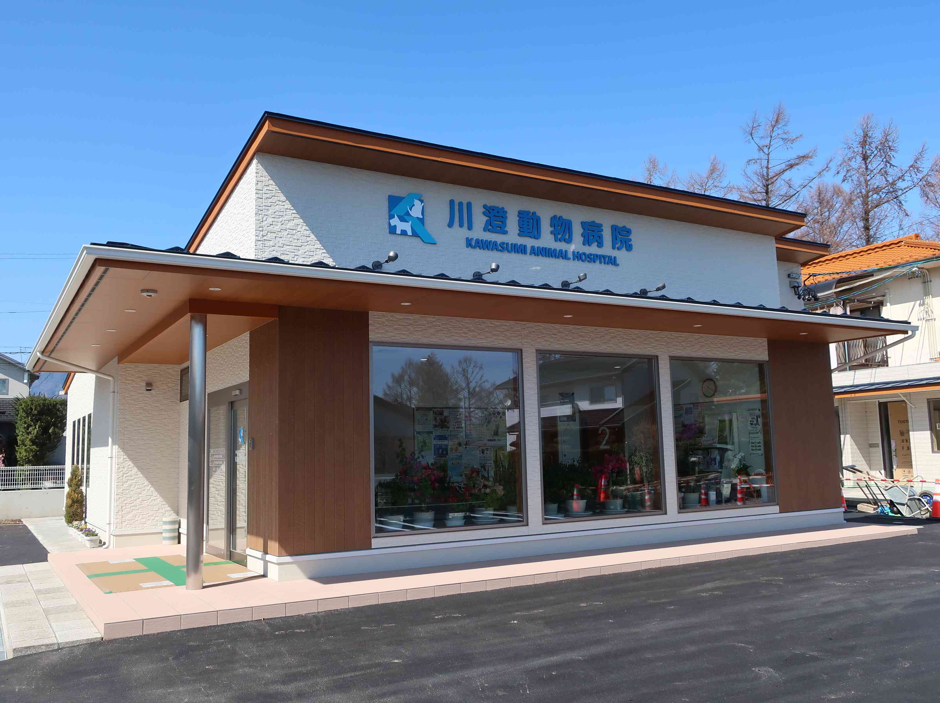kawasumi animal hospital
