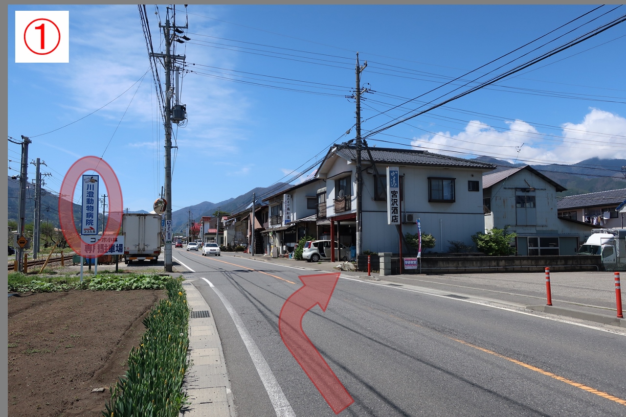 kawasumi animal hospital