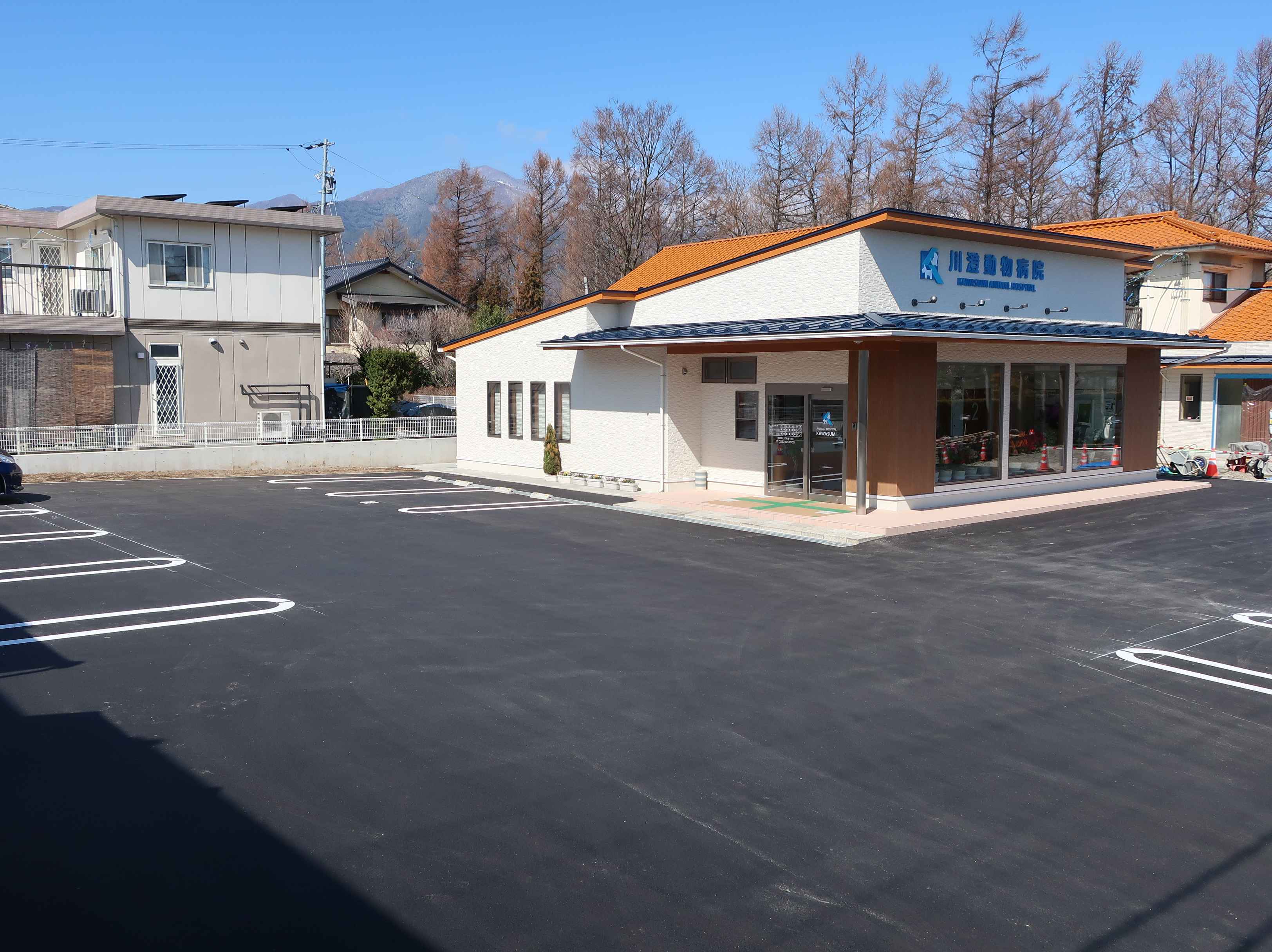 kawasumi animal hospital