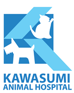 kawasumi animal hospital