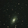 M81