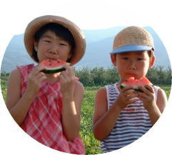 �ߘa�V�N�Y�\���t��