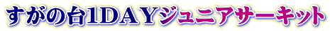 ̑Pc`xWjAT[Lbg