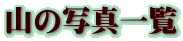 R̎ʐ^ꗗ